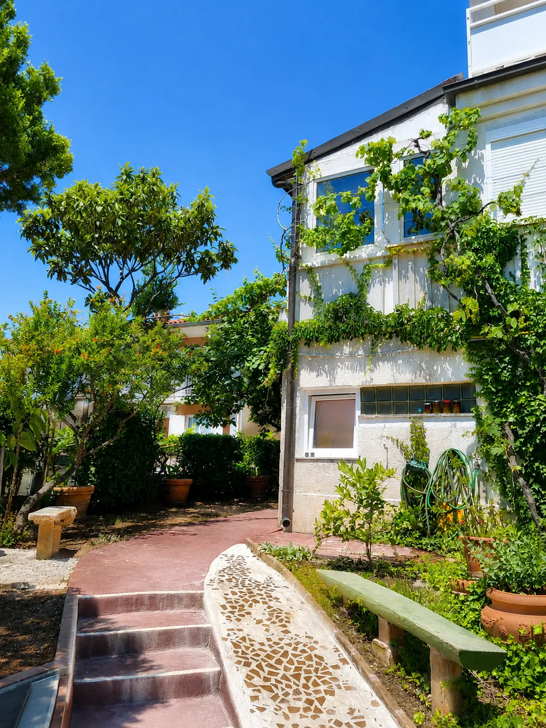 The family house from the garden, its façade wrapped in vines, with a paved path